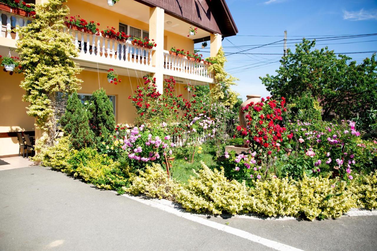 Motel Moara Veche Săcălăşeni Bagian luar foto